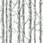 BW3902 Paper Birch York Wallpaper