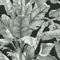 BW3971 Banana Leaf York Wallpaper