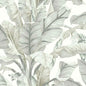 BW3972 Banana Leaf York Wallpaper