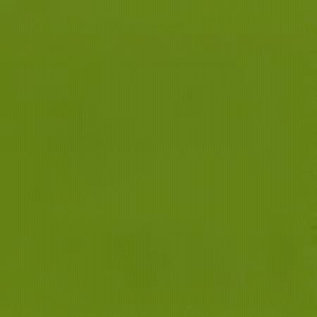 CAPITAL Spring 205 Norbar Fabric