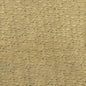 CAROLINA Coin 54 Norbar Fabric