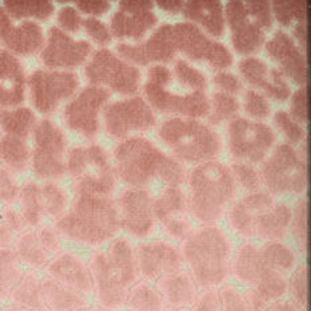 CHEVY Blush Norbar Fabric