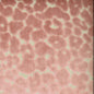 CHEVY Blush Norbar Fabric