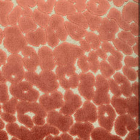 CHEVY Carnation Norbar Fabric