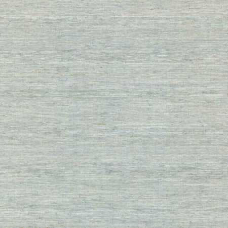 CV4402 ARROWROOT York Wallpaper