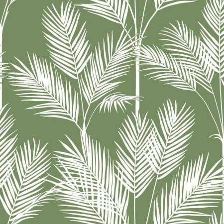 CV4411 KING PALM SILHOUETTE York Wallpaper