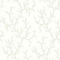 CV4431 CORAL ISLAND York Wallpaper