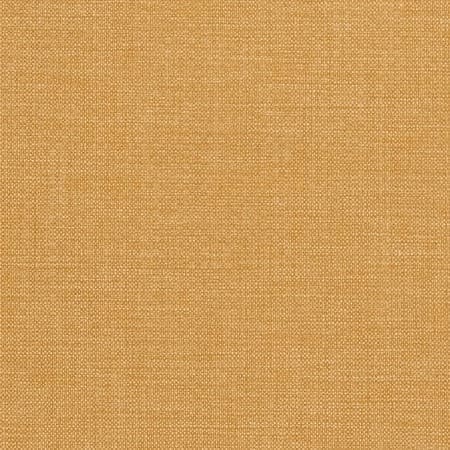 D2195 Honey Charlotte Fabric