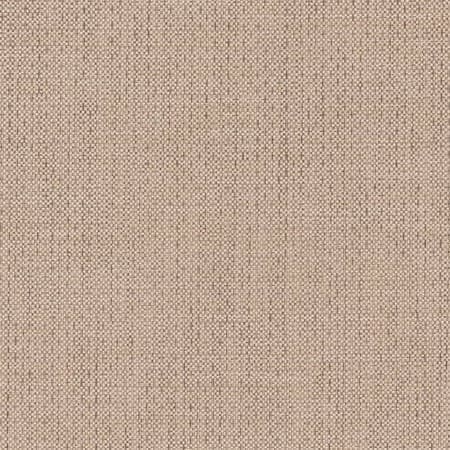 D2225 Zinc Charlotte Fabric