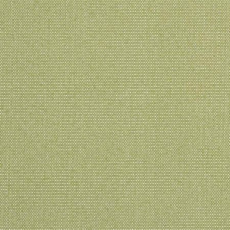 D2521 Pear Charlotte Fabric