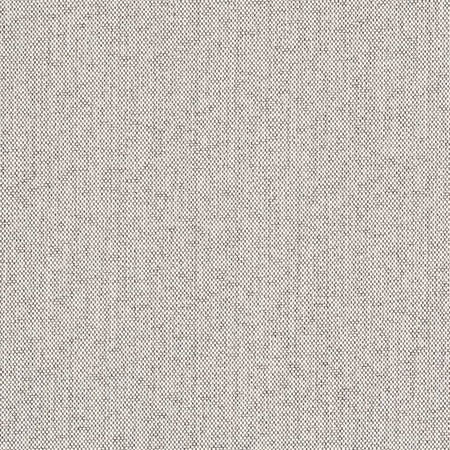 D2525 Pebble Charlotte Fabric