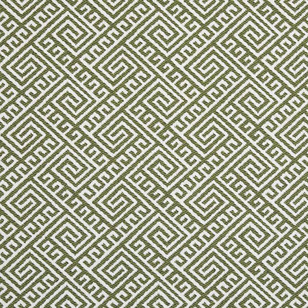 D2553 Lime Charlotte Fabric