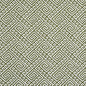 D2553 Lime Charlotte Fabric