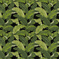 D2715 Rainforest Charlotte Fabric