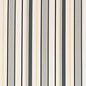 D2725 Platinum Charlotte Fabric