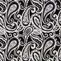 D2759 Raven Charlotte Fabric