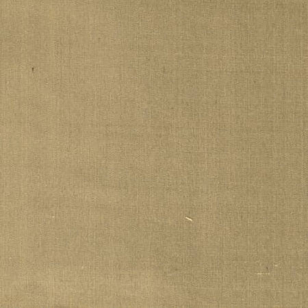 DUPIONI 21 Truffle Stout Fabric