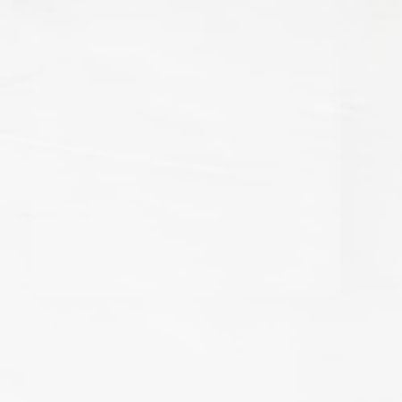 DUPIONI 4 Chalk Stout Fabric