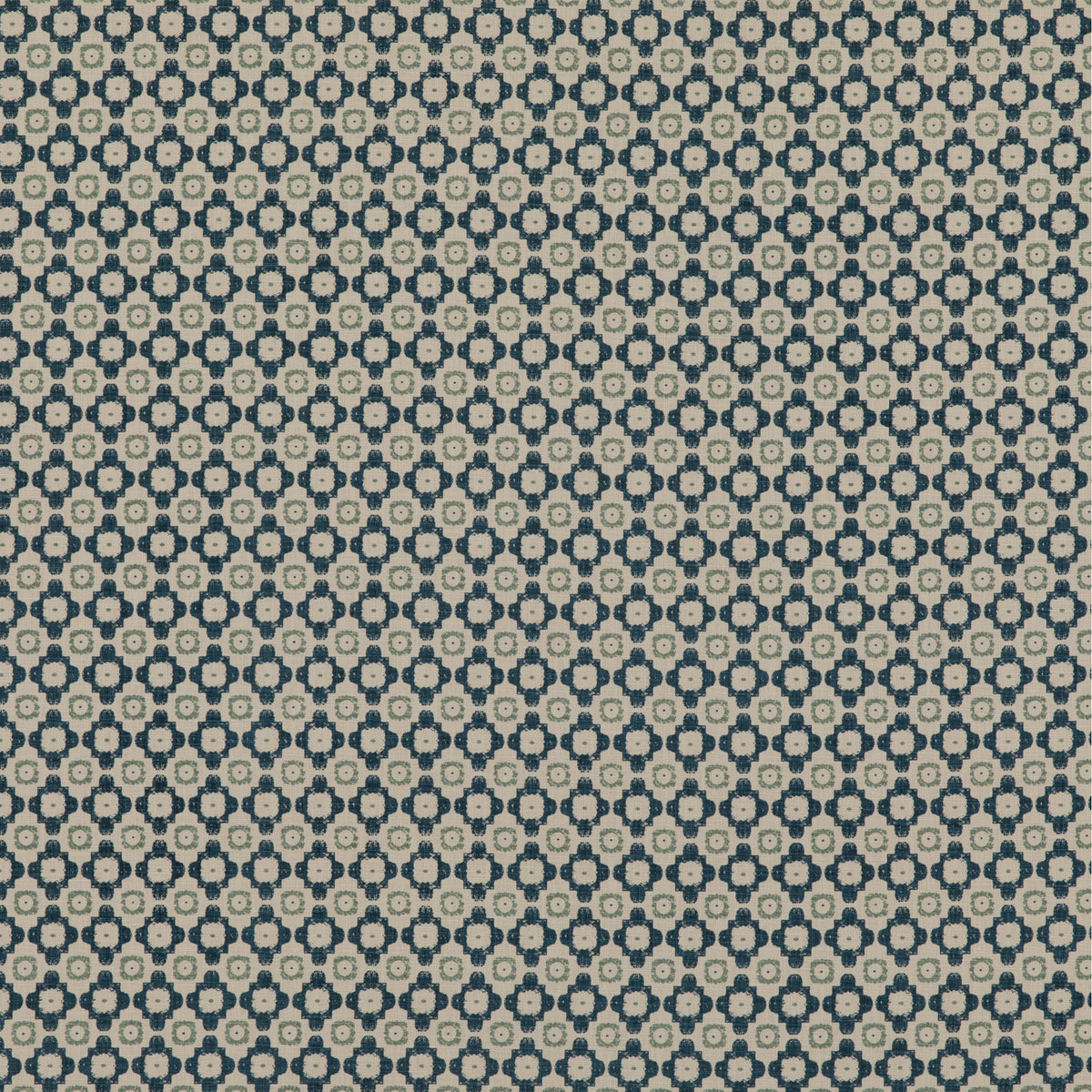 ED75043-1 THREADS AMBIT INDIGO