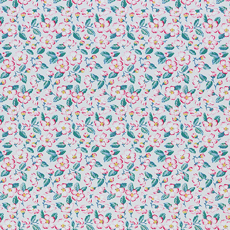 EFFINGHAM 1 Sorbet Stout Fabric