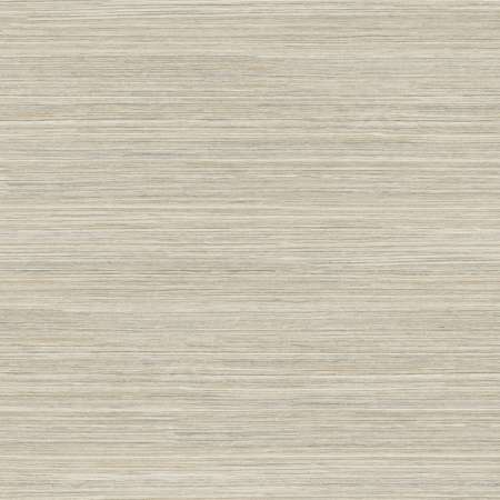 GO8305 FOUNTAIN GRASS York Wallpaper