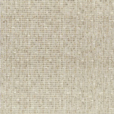 GORTHAM 3 RAFFIA Stout Fabric