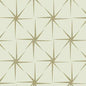 GR5944 EVENING STAR York Wallpaper