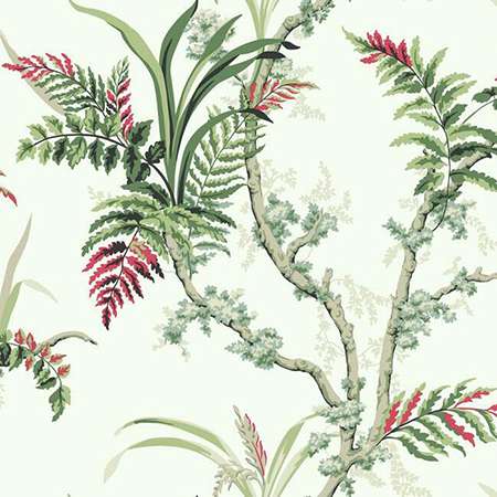 GR5993 ENCHANTED FERN York Wallpaper