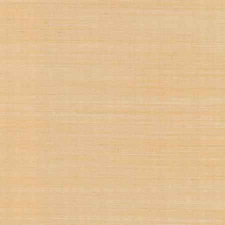 GV0111NW Maguey Sisal York Wallpaper