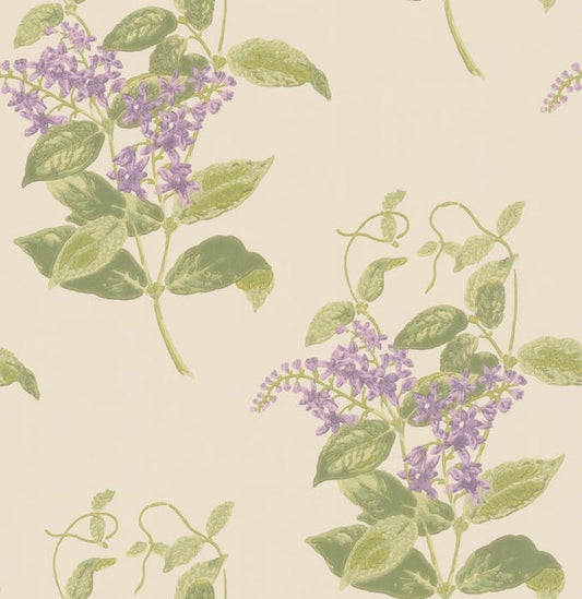 100/12056-CS MADRAS VIOLET Olive Lavender Cole & Son Wallpaper