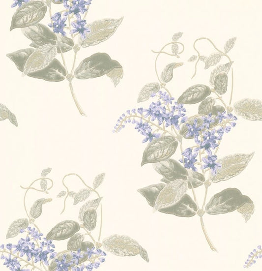 100/12057-CS MADRAS VIOLET Violet Grey Cole & Son Wallpaper