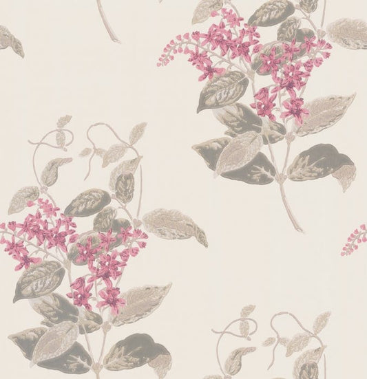 100/12058-CS MADRAS VIOLET Pink Cole & Son Wallpaper