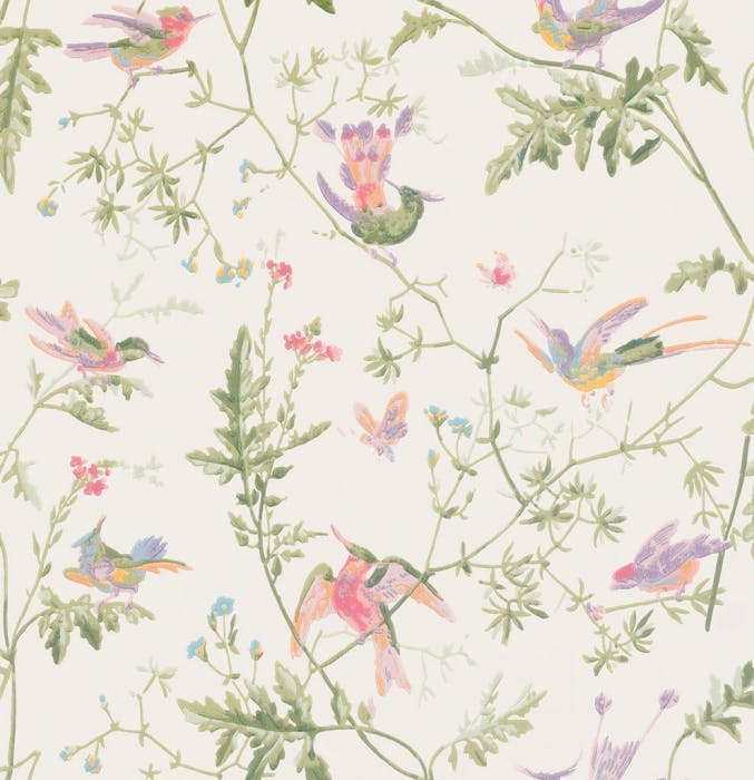 100/14067-CS HUMMINGBIRDS Soft Multi-Colour Cole & Son Wallpaper