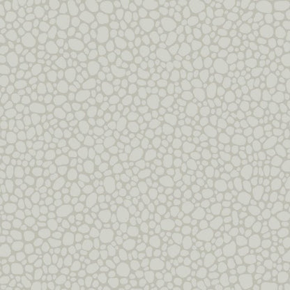 106/2017-CS PEBBLE Pale Grey Cole & Son Wallpaper