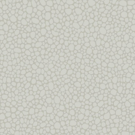 106/2017-CS PEBBLE Pale Grey Cole & Son Wallpaper