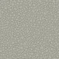 106/2018-CS PEBBLE Grey Cole & Son Wallpaper