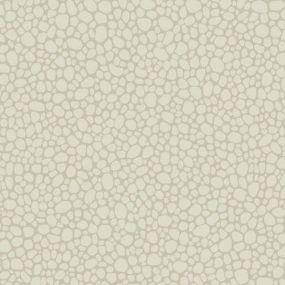 106/2021-CS PEBBLE Stone Cole & Son Wallpaper