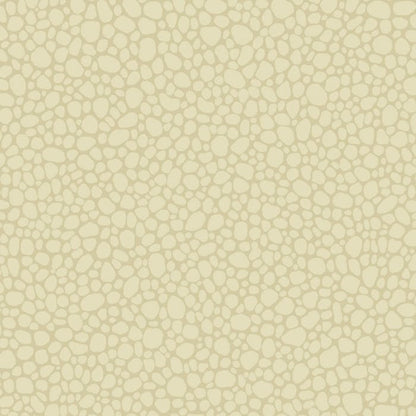 106/2023-CS PEBBLE Cream Cole & Son Wallpaper