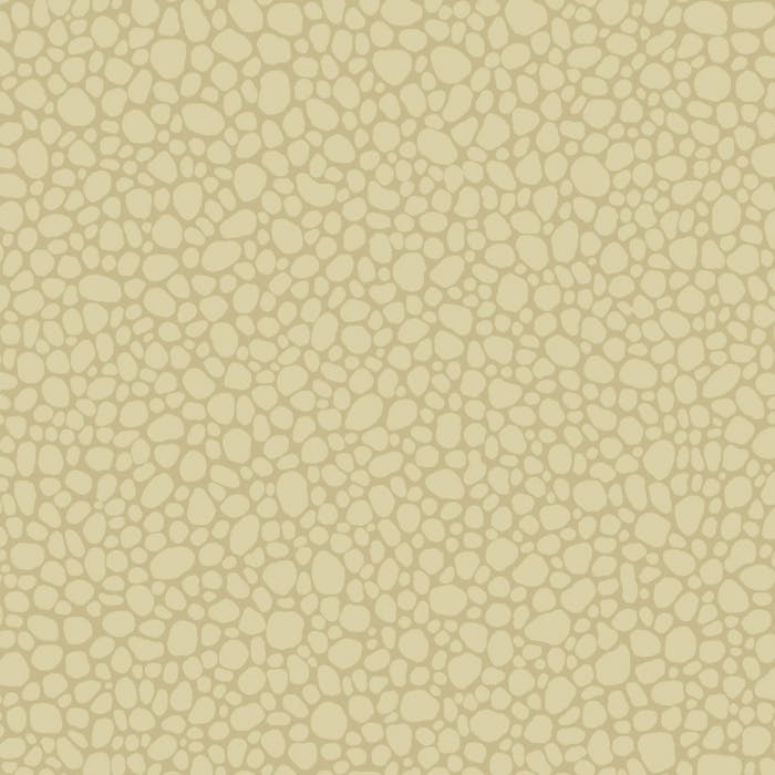 106/2024-CS PEBBLE Latte Cole & Son Wallpaper