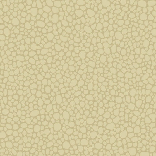 106/2024-CS PEBBLE Latte Cole & Son Wallpaper