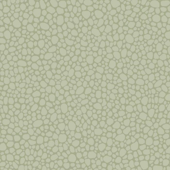 106/2027-CS PEBBLE Sage Cole & Son Wallpaper