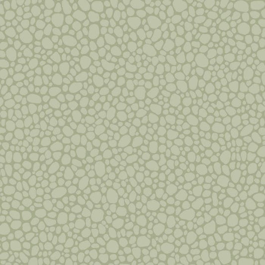 106/2027-CS PEBBLE Sage Cole & Son Wallpaper