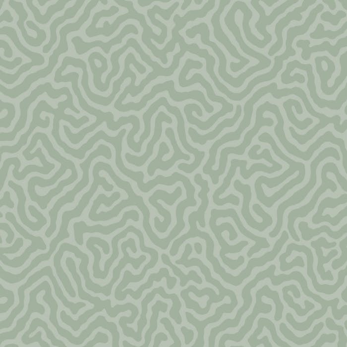 106/5066-CS CORAL Sage Cole & Son Wallpaper