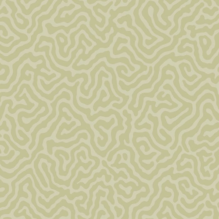 106/5067-CS CORAL Old Olive Cole & Son Wallpaper