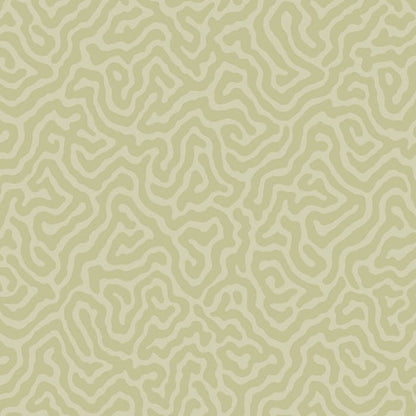 106/5067-CS CORAL Old Olive Cole & Son Wallpaper