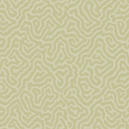 106/5067-CS CORAL Old Olive Cole & Son Wallpaper