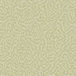 106/5067-CS CORAL Old Olive Cole & Son Wallpaper