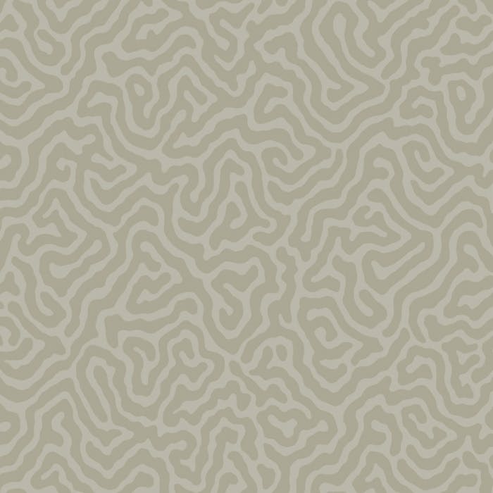 106/5073-CS CORAL Stone Cole & Son Wallpaper