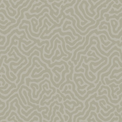 106/5073-CS CORAL Stone Cole & Son Wallpaper