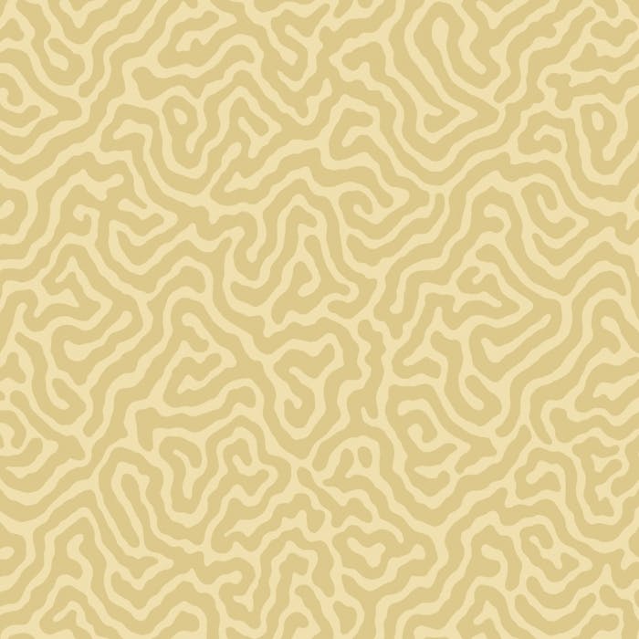 106/5074-CS CORAL Ochre Cole & Son Wallpaper